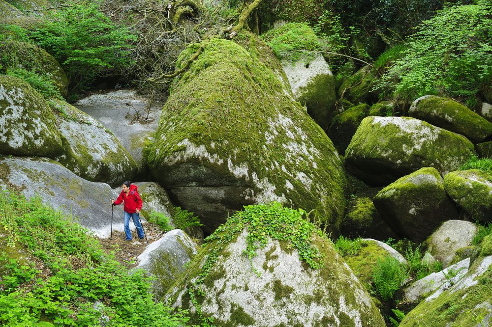 GR 380 - Tour des Monts d'Arrée : étape dans la forêt de Huelgoat - Crédit : Hémis - Krinitz Harmut